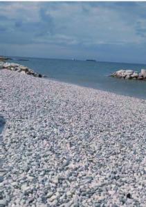 Istrabella Apartment