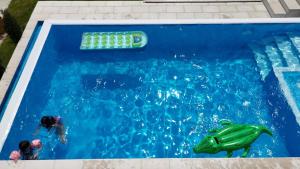 Friends & Family Moieciu