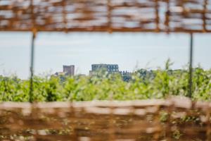 Hotels Logis Hotel des Granges : photos des chambres