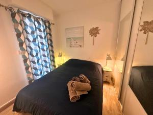 Asteria by Pom, clim, pkg, wifi