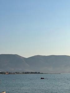 Stylish Apartment 50m from Radhimë Beach