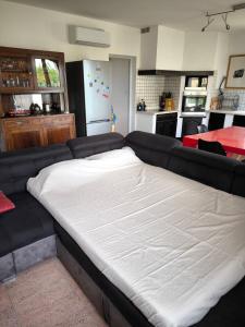 Villas Sud Bastia 50 m2 prive avec jacuzzi et piscine : photos des chambres