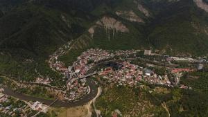 Buddy Cottage Borjomi