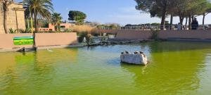 Rêves bleus, T2 proche plage des sablettes, Clim, Wifi, Place de parking