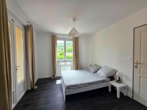 Appartements Appartement spacieux et lumineux : photos des chambres
