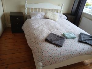 3 bedroomed house in Drogheda