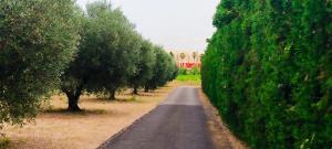 Jolie maison avec spa exterieur