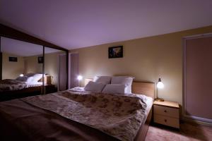 Daugava rrlux Duplex Penthouse free parking