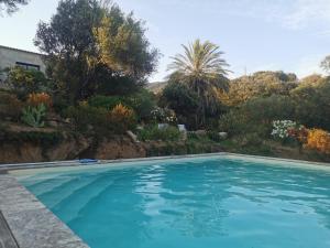 Appartements U caseddu di Monacia : photos des chambres