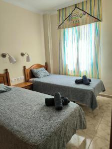 Amanecer - Surfers Dream