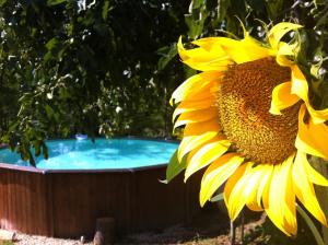 Il Nascondiglio - The Hideaway