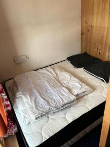 Résidence Arandelieres - Deux pièces 5 personnes centre station MAE-6414