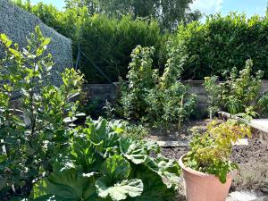 Maisons de vacances House in a quiet neighborhood, Balneo and BBQ : photos des chambres