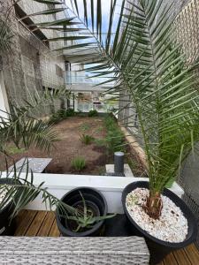 Appartements Garden Suite Toulouse : photos des chambres