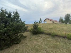 U Magdy nad Tałtami II