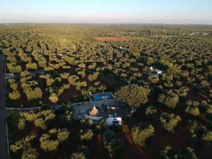 TRULLO LA QUERCIA with Pool