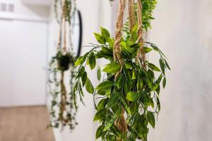 Cozy 1BR King Bed Kitchen Washer & Dryer