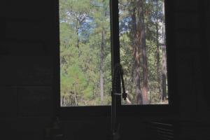 Romantic tiger suite