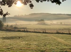Campings Roulottes des terres de la chouette : photos des chambres