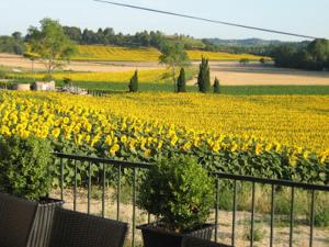 Maisons de vacances Chateau Bethanie 19th century charming gite, swimming pool : photos des chambres