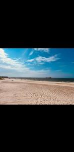 Apartament z widokiem na las