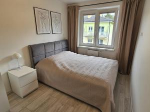 Apartament z widokiem na las