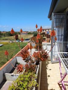 Alloggio breve Longo