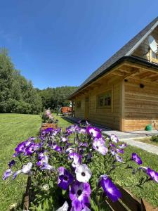 Chatka przy lesie Roztocze Szewnia Dolna 74 22-442