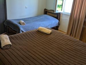 LAMPAREULA - ლამპარეულა