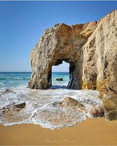 Appartements Ptit sale Quiberon : photos des chambres