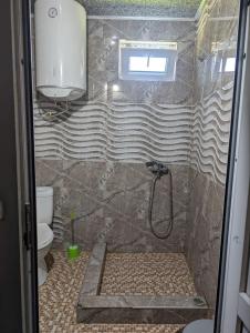 LAMPAREULA - ლამპარეულა