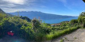 Casa del Lampone - Bungalow mit Gardaseeblick
