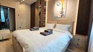 REVA - Brașov Civic Center Apartment