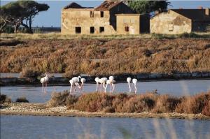 Coquet T2 rénové, proche plages et Hyères, 4 couchages