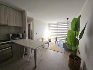 Premium Executive Apartment en Ñuñoa