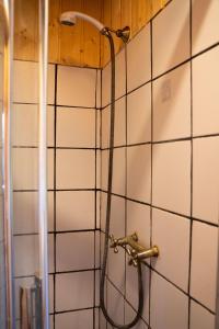 Tinyhouse Hexagonal in Organic Farm