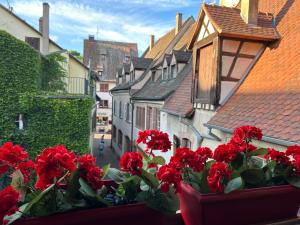 Appartements Gite 