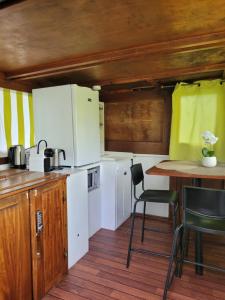 Péniche Amboise Maison dHôtes Flottante Toulouse Centre