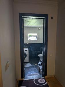 LAMPAREULA - ლამპარეულა