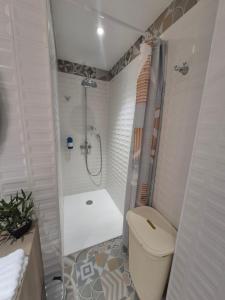 Appartements Studio cosy climatise : photos des chambres