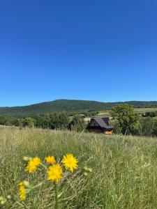 Niedźwiedzi Zakątek