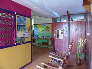 Backpackers Corcovado Tours