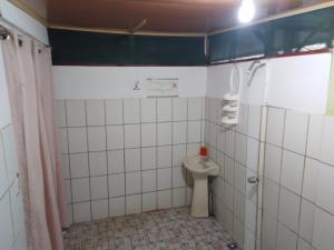 Backpackers Corcovado Tours