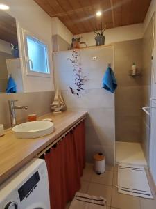 Maisons de vacances Jolie maison en bois a 600m de la plage des Vergnes : photos des chambres