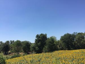 Maisons de vacances Roquepoix, A green stopover to explore Gascony : photos des chambres