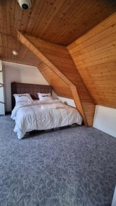 ANTWERPSESTRAAT Tomorrowland in Boom