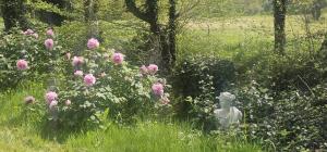Maison avec spa privatif, piscine, poele à bois Domaine de la Moyendrie