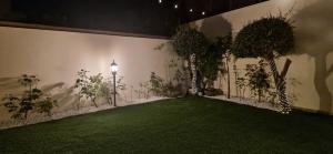 Grace dell'isola dei Coralli img16