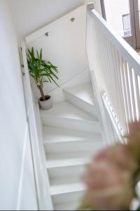 Charming Duplex near the beautiful Akerselva river