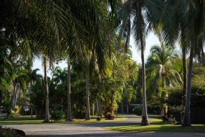 Daintree Beach Resort
